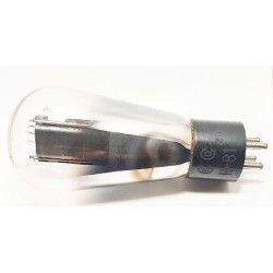 Tube R81 - Vacuum tube R81