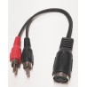 Adaptateur rca mâle - din 5 broches femelle