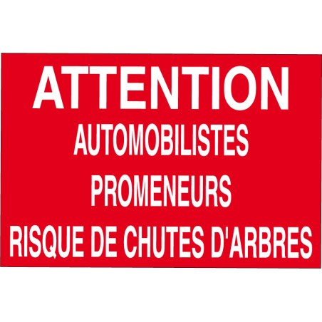 Attention automobilistes promeneurs risque de chutes d'arbres