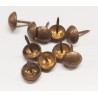 500 Pièces Clous de Tapissier, Basicon Robuste 17X11 MM Bronze Clous Tapissier Décoratifs